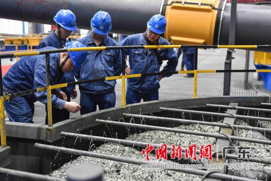 4月26日，工作人员对铜精选-PH值进行检测。 